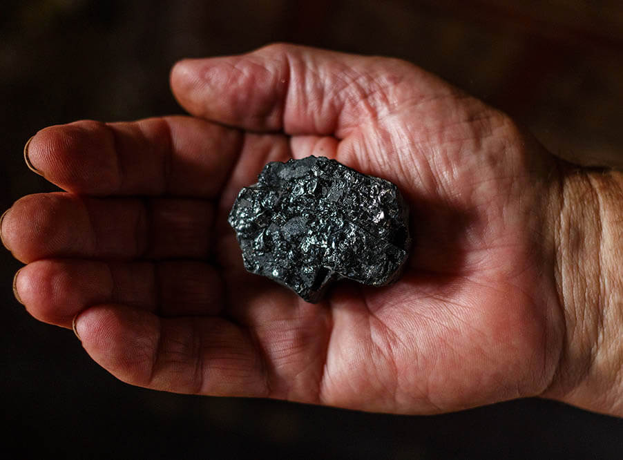 Исследование: формирование угля в палеозойскую эру едва не погубило Землю