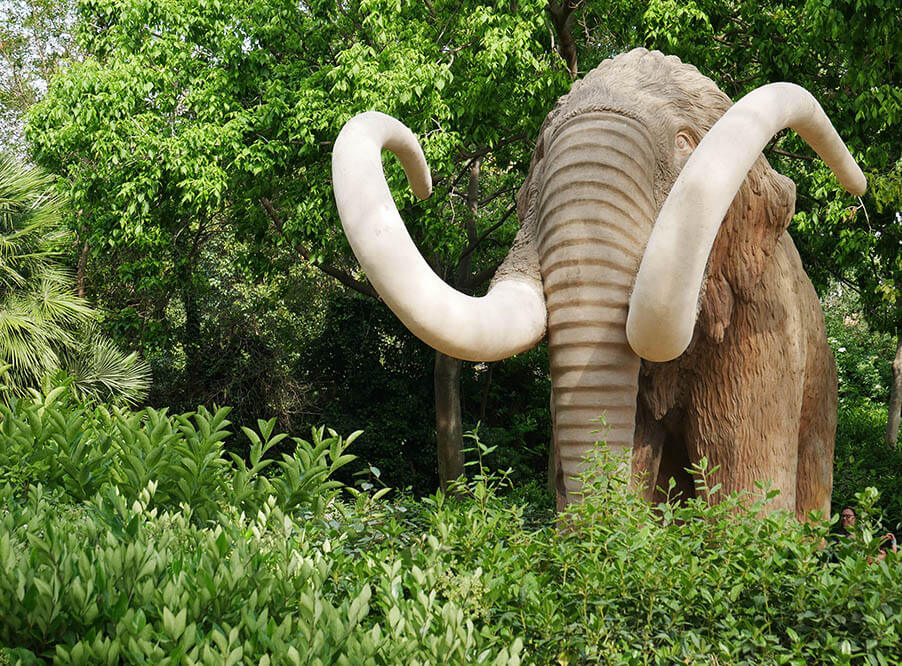 Великобритания запретит продажу предметов из слоновой кости