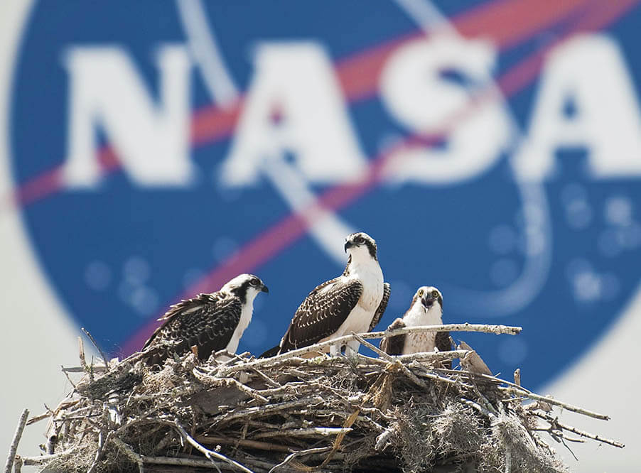 NASA закрыло космическую программу по отслеживанию выбросов парниковых газов