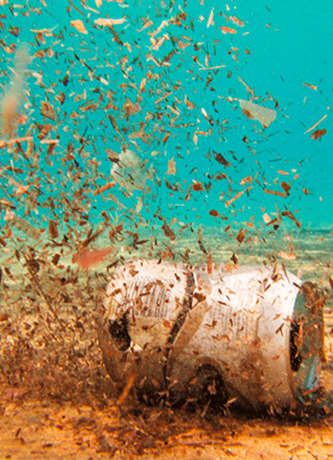 Микропластик признан главным загрязнителем океана