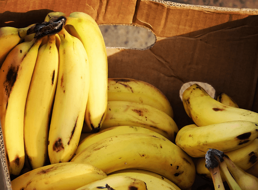Британцы выбрасывают 1,4 млн бананов в день