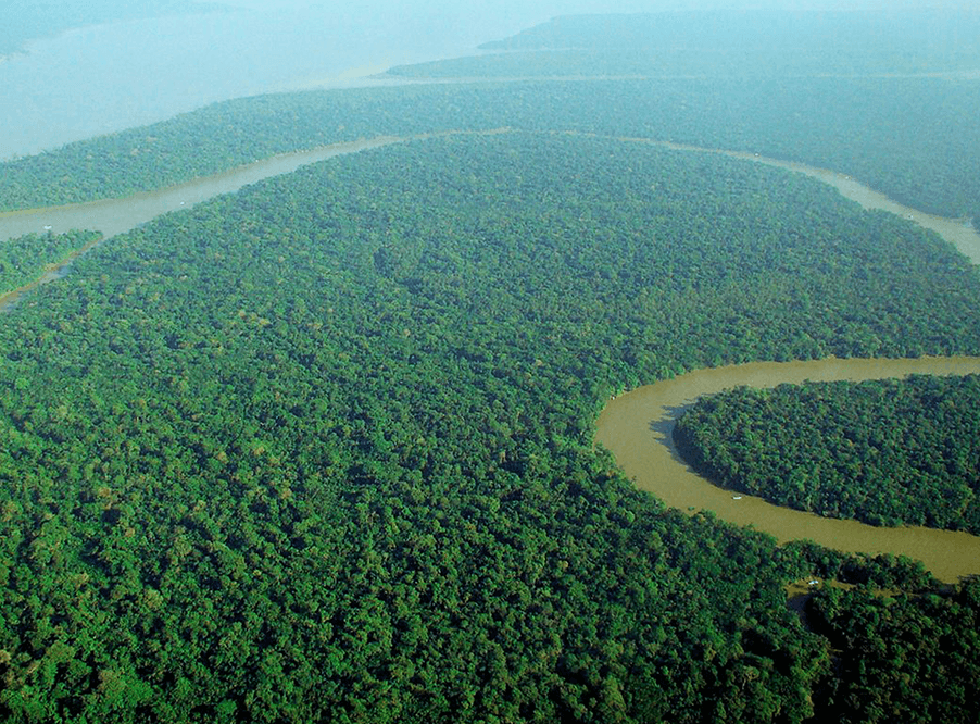 Ученые оценили влияние ГЭС на экосистему Амазонки