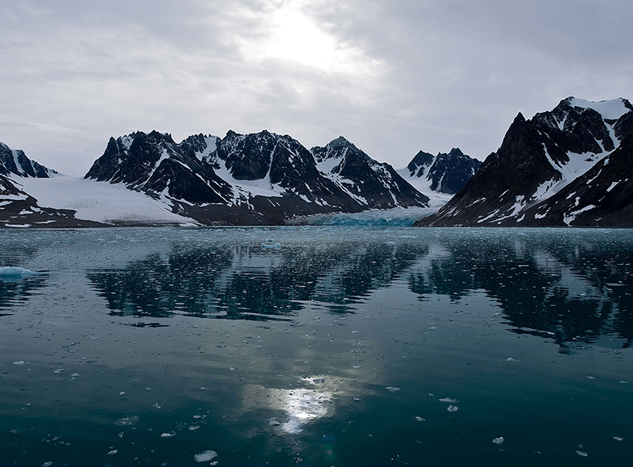 Крупные свалки пластика обнаружили в Арктике