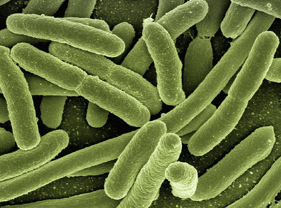 Ученые из Великобритании изучили эффективность антибиотиков