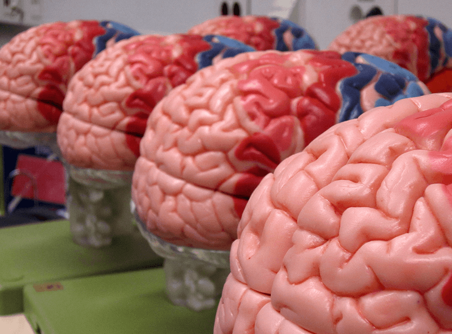 Новый вид мозговых имплантатов тестируют в Гарварде