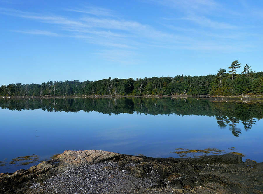 Леса национального парка «Новая Англия» сокращаются на 26 га в день