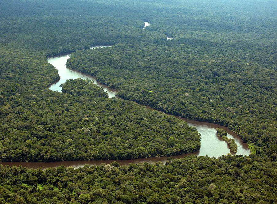 Власти Бразилии отозвали разрешение на разработку полезных ископаемых в заповеднике