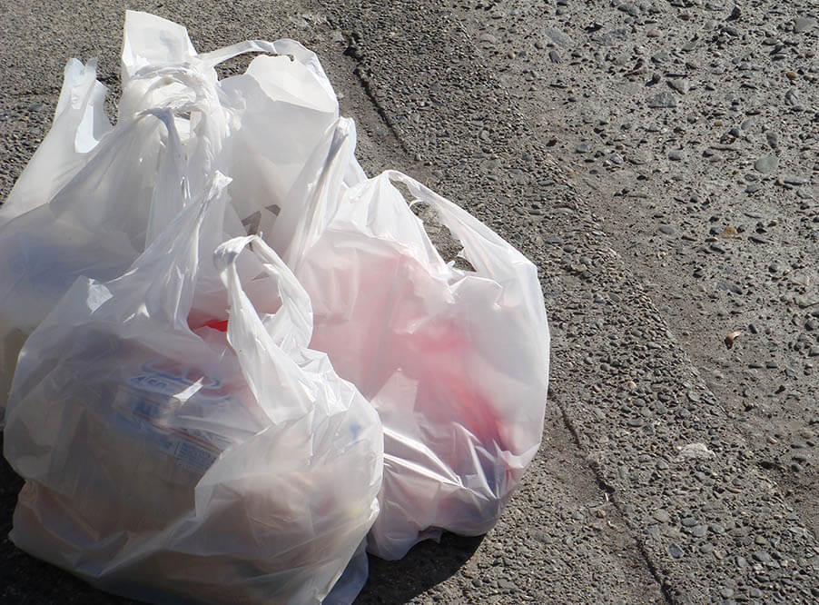 Пластиковые пакеты запретили в прибрежных районах Чили