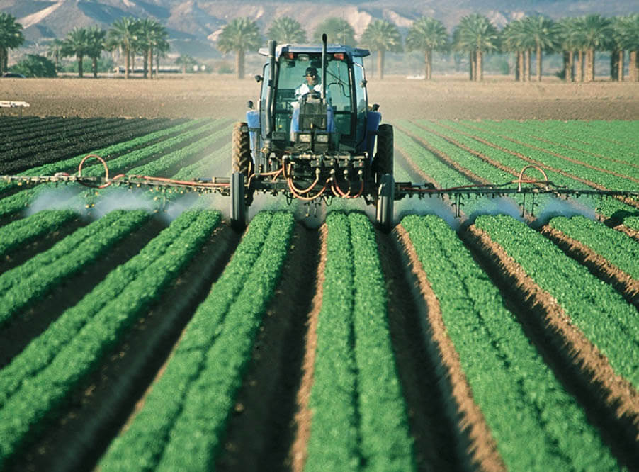 Сокращение объемов используемых пестицидов может увеличить урожай
