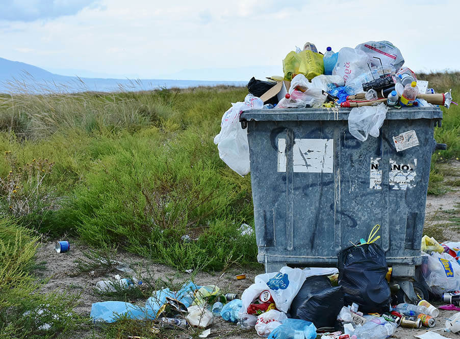 Сверхпотребле­ние и мусор объявили причиной экологическо­го следа Исландии