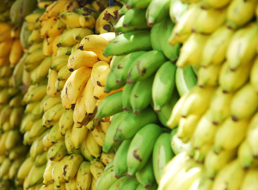 Японские фермеры вывели бананы, которые не надо чистить