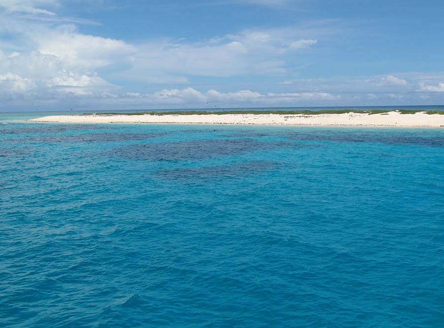 Считавшиеся исчезающими острова в Тихом океане увеличиваются в размерах
