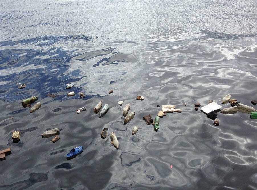 В Арктике скапливается выброшенный в моря пластиковый мусор