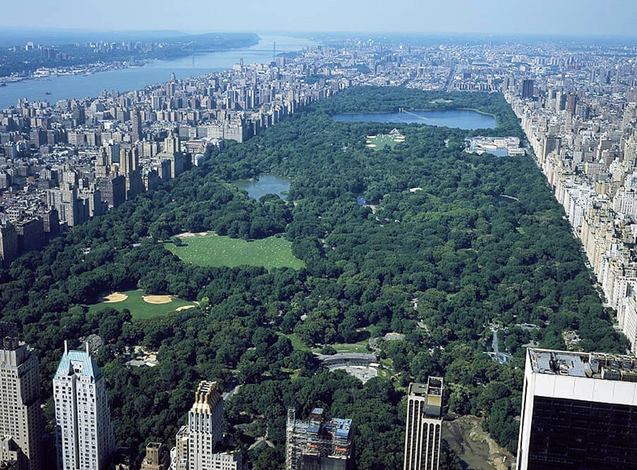 Рядом с Парижем посадят лес, в пять раз больше Центрального парка в Нью-Йорке