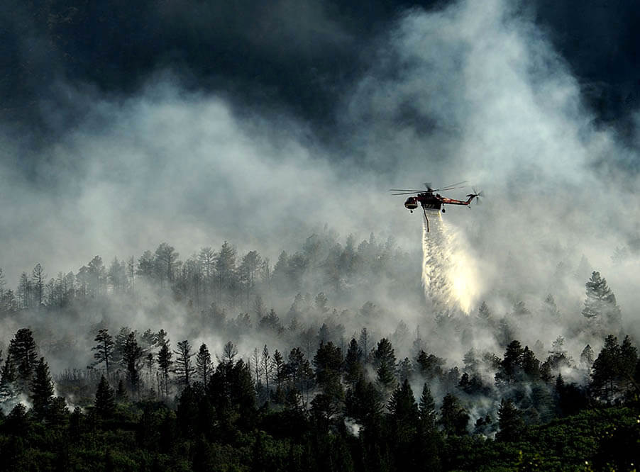 Почти половина россиян считают причиной лесных пожаров самовозгорание