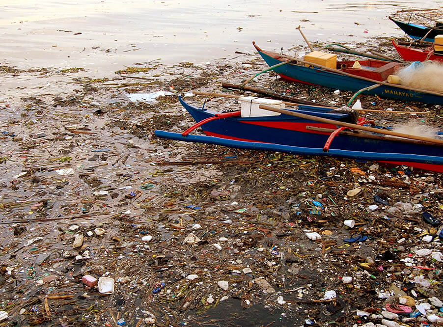 Филиппинские активисты хотят спасти «гавань» перелетных птиц от пластиково­го мусора