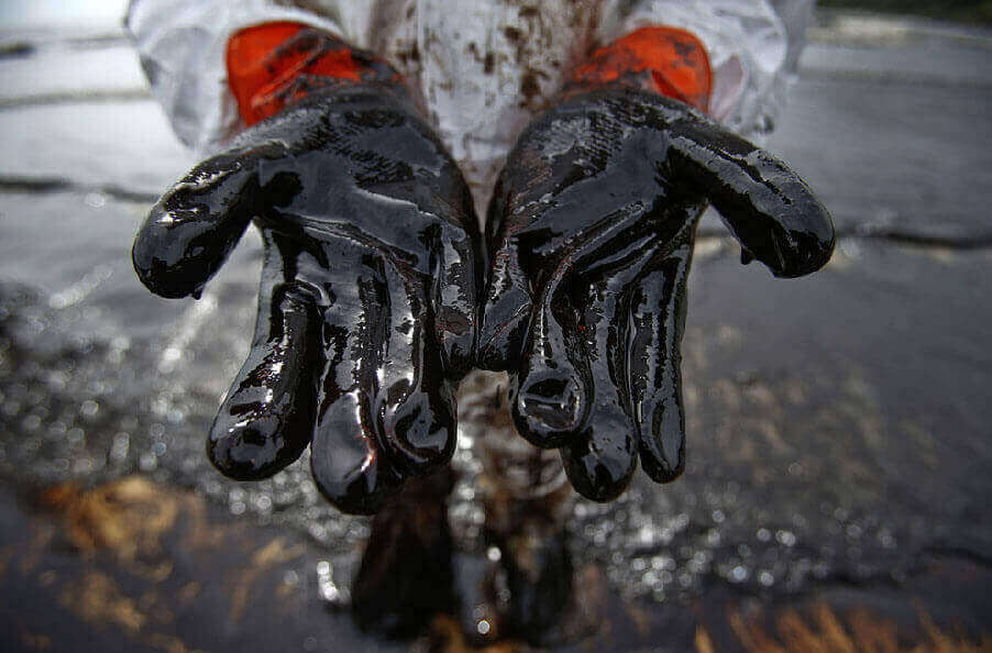 Greenpeace: «Компании должны соблюдать жесткие нормы и платить за нефтеразливы чувствительные штрафы»