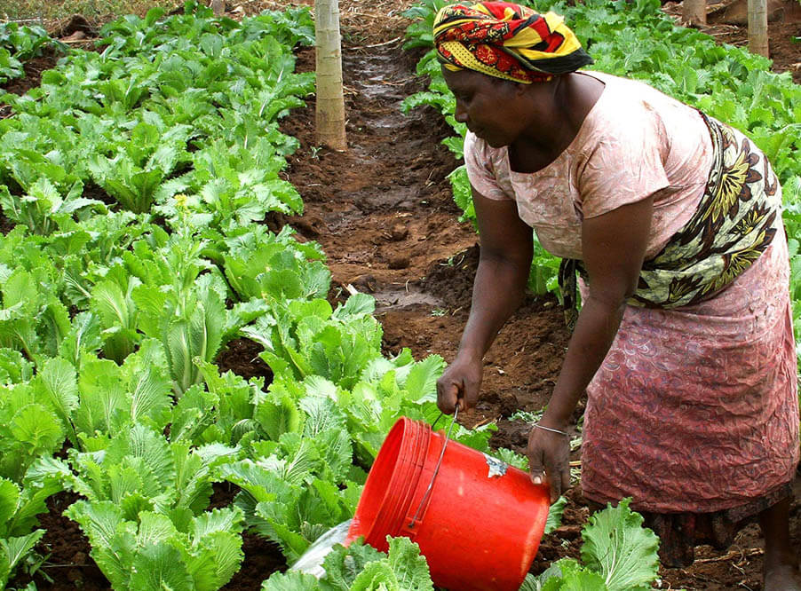 В Африке прошел первый хакатон по разработке решений для фермерства и борьбы с голодом