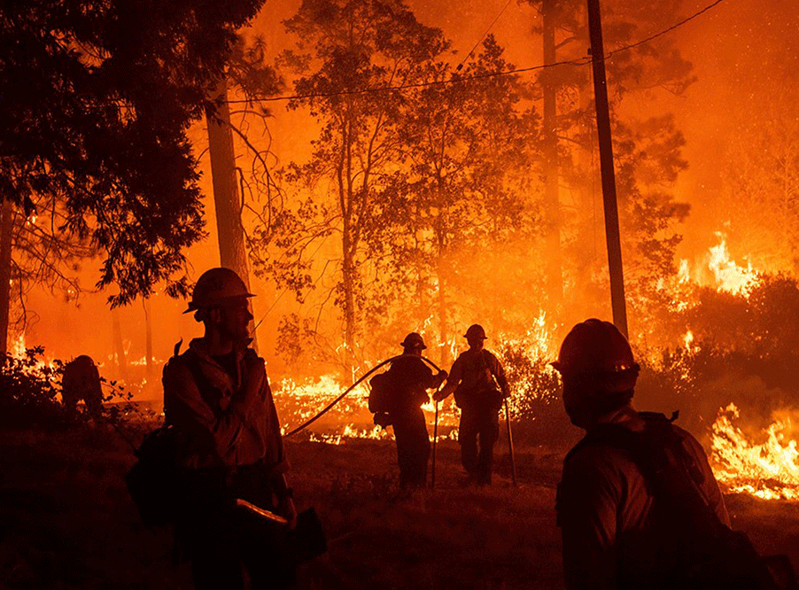 «Лесные пожары: как спасают Калифорнию?» Третья серия