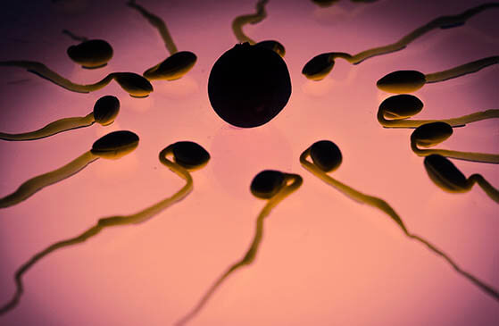 Антидепрессанты плохо влияют на качество спермы