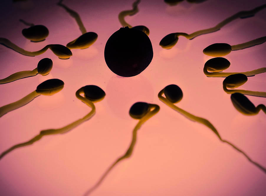 Качество спермы ухудшилось за последние 40 лет