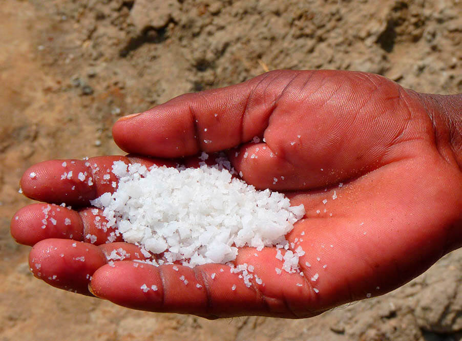 Ученые обнаружили микропластик в 90% образцов соли