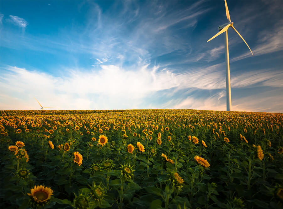 Вашингтон перейдет на возобновляемые источники энергии к 2032 году