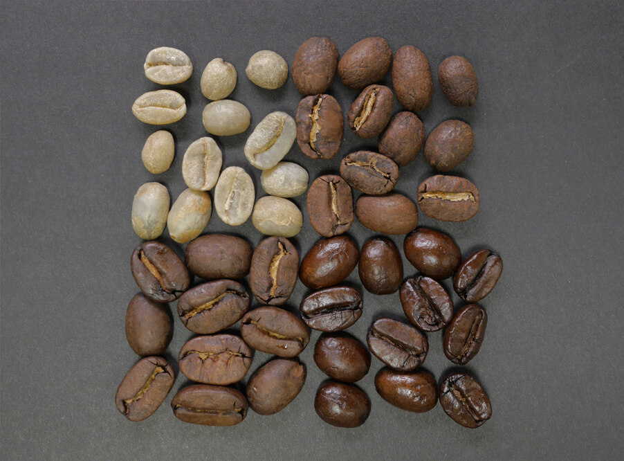 60% видов дикорастущего кофе находится под угрозой исчезновения