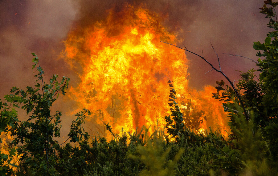 Правительство РФ выделит 6 млрд рублей на тушение лесных пожаров