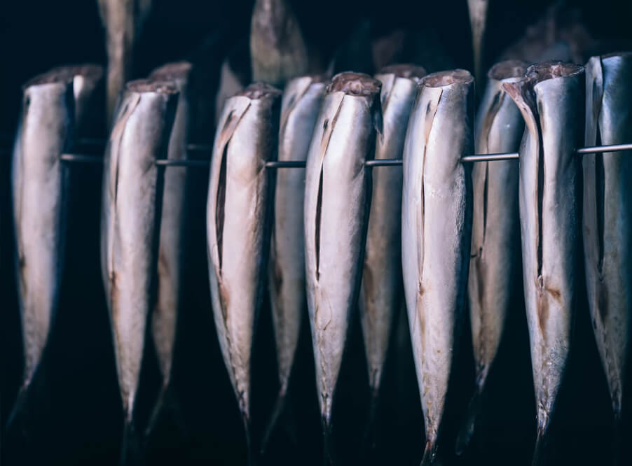 Морская рыба становится токсичной из-за глобального потепления