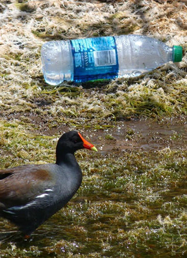 Компания Coca-Cola начнет выпускать воду в алюминиевых банках