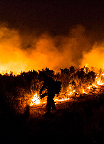 Люди страдают от лесных пожаров из-за непродуманных законов