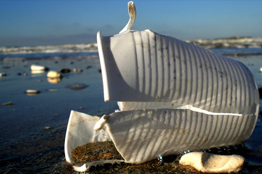 Ученые предлагают назвать нынешнюю эпоху «пласти­ко­вым веком»