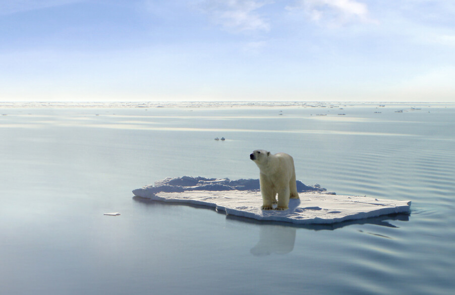 Северный Ледовитый океан может остаться безо льда к 2050 году