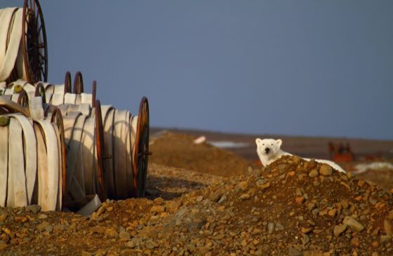 Виртуальные путешествия по заповедной России