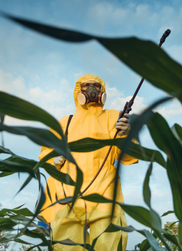 Опасны ли ГМО и почему их боятся