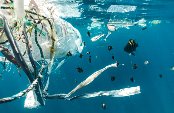 Ежегодные отходы пластика весят столько же, сколько население Земли