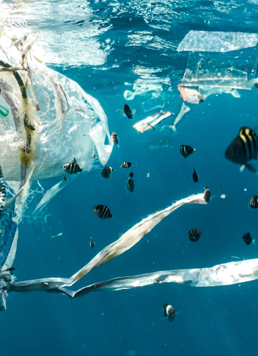 Ежегодные отходы пластика весят столько же, сколько население Земли