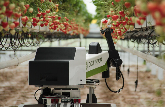 От роботов-фермеров до VR-очков для коров: тренды развития сельского хозяйства