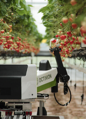 От роботов-фермеров до VR-очков для коров: тренды развития сельского хозяйства