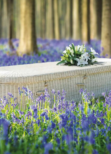 «Зеленые» похороны: как экологично отправиться в мир иной
