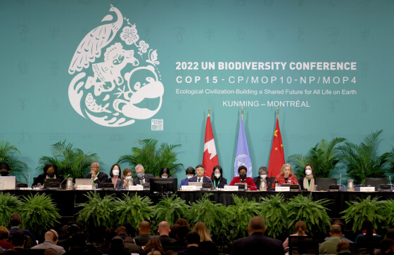 190 стран мира подписали пакт о защите природы