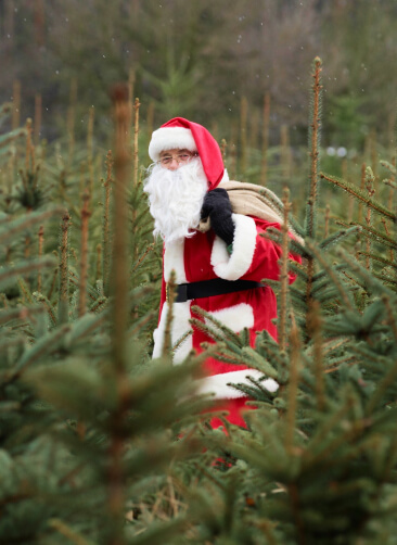 Выбросов от Санта-Клауса в 2,5 раза больше, чем от экономики России