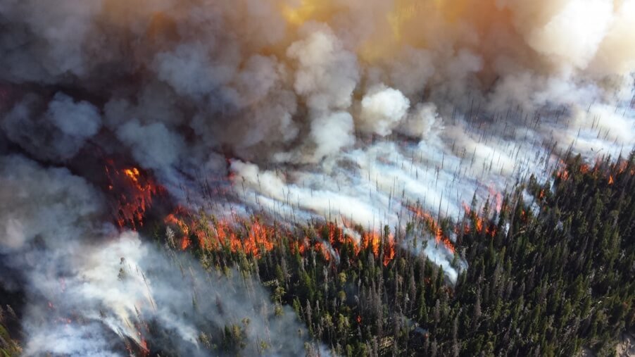 НАСА запустило масштабный проект по изучению дыма от лесных пожаров