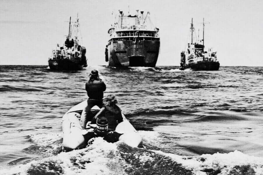 Глобалисты от природы Глобалисты от природы