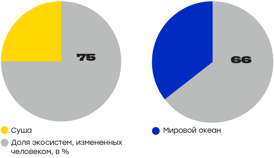 Мировой 66