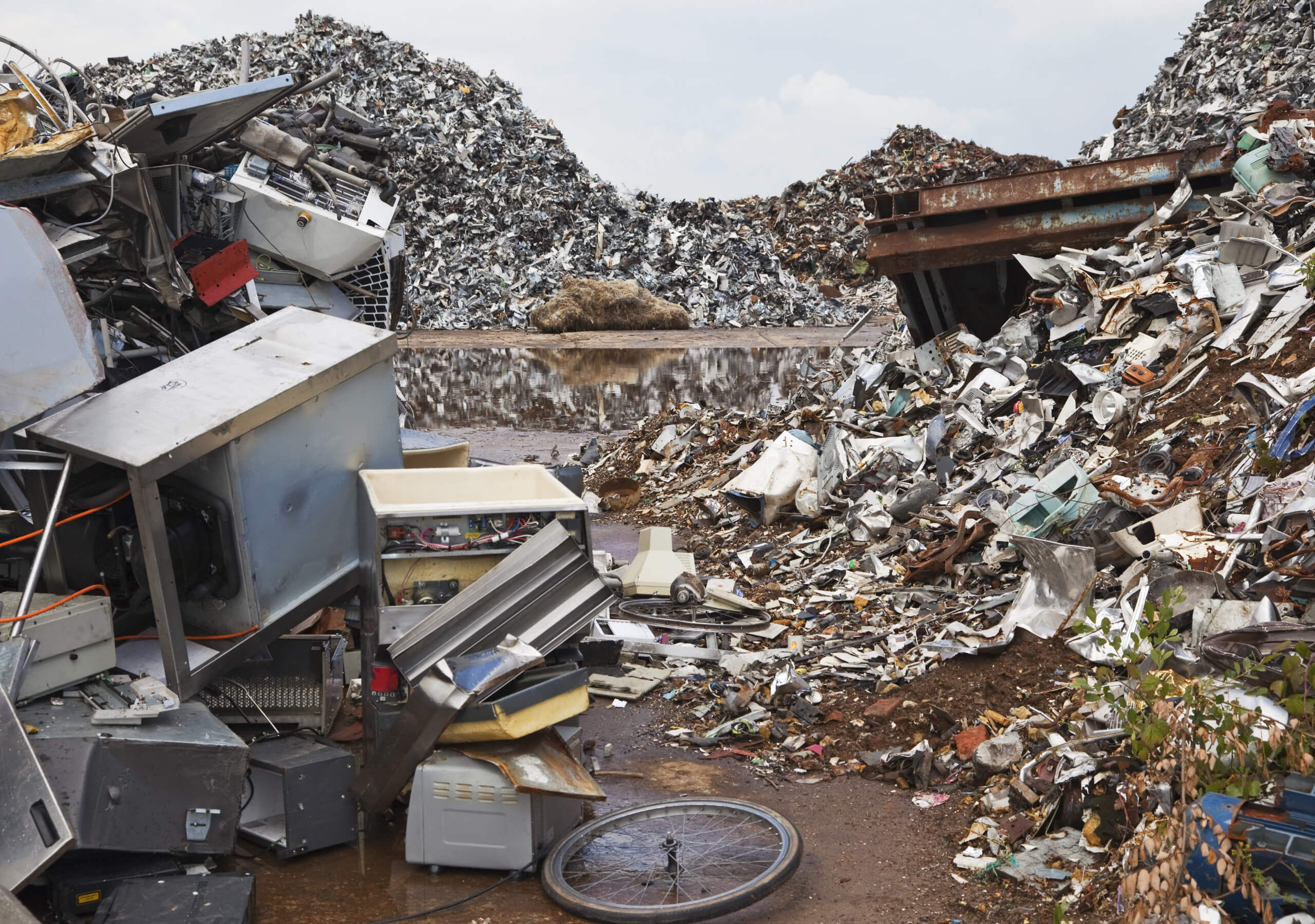 Новый БЕСПЛАТНЫЙ онлайн-курс «Как начать сортировать мусор»