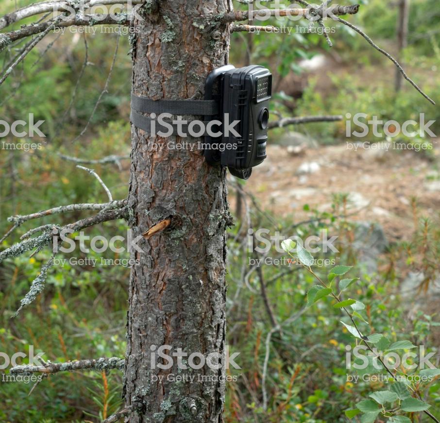 За незаконными свалками в Бурятии проследят фотоловушки: Новости ➕1,  18.12.2019