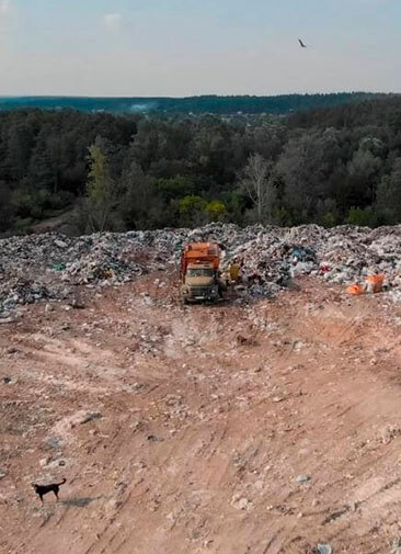 Цифровая карта мусорных полигонов и незаконных свалок появится в России