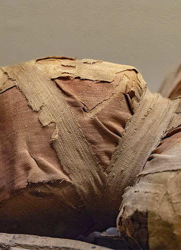 Археологи нашли первую в мире беременную мумию